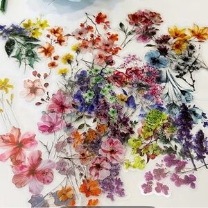 3 for $20 50pc Botanical Floral Transparent Sticker Pack